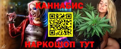 прущие крисы Бердск