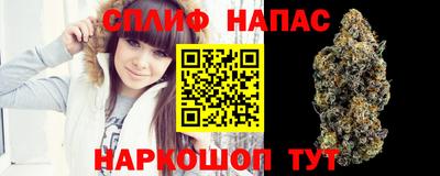 дурь Белореченск