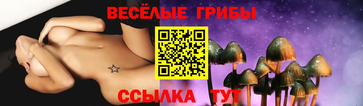 Галлюциногенные грибы Magic Shrooms  Псилоцибиновые грибы Psilocybe  Вход с VPN  Владивосток 